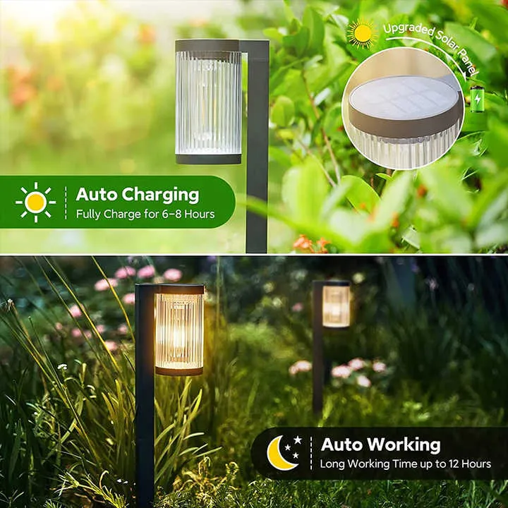 عرض خاص مصابيح Ip65 الشمسية طويلة التحمل للماء في الهواء الطلق للإضاءة Special Offer Long-lasting IP65 Waterproof Solar Lights for Outdoor Lighting