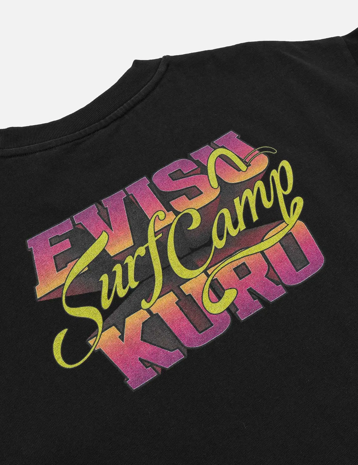 Logo Embroidery and Surf Camp Print Regular Fit T-shirt