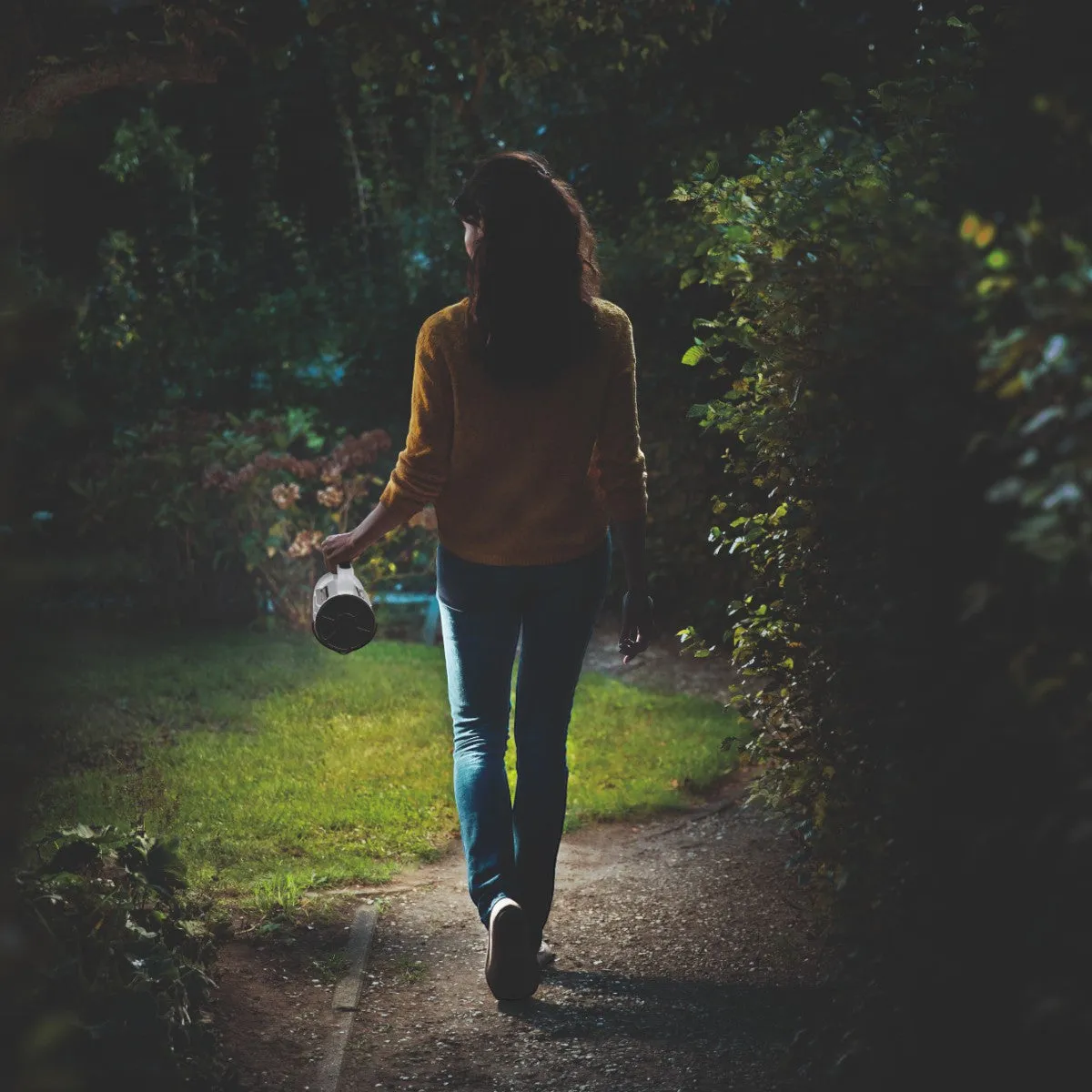 Philips Hiker Rechargeable Emergency light
